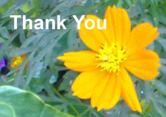 Thank+You+Sayings+and+Quotes